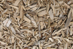biomass boilers Sebastopol