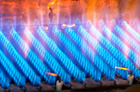 Sebastopol gas fired boilers
